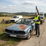 Epaviste Gratuit Luzancy (77138)