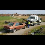 Epaviste Gratuit Celle-sur-Morin (77515)