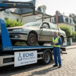 Epaviste Gratuit V&eacute;sinet (78110)