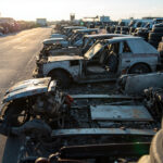 , , , ,  - Centre VHU - Cheptainville - 91630 - Essonne (91)